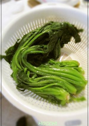 葉物野菜の簡単!ゆで方 -レシピのメイン写真