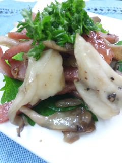 酒ツマ 舞茸とベーコン炒め!-レシピのメイン写真