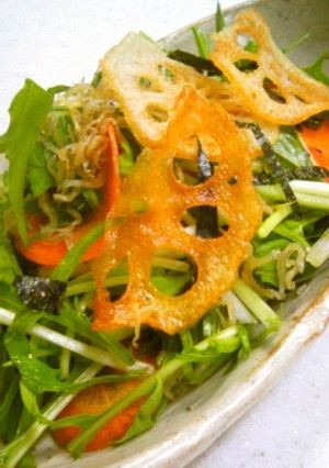 カリカリはりはり水菜のサラダ-レシピのメイン写真