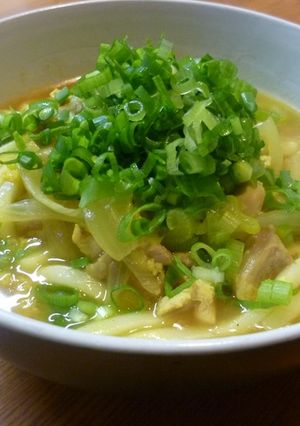 とっても簡単♪*カレーうどん*-レシピのメイン写真