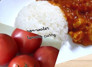 トマト大量消費！水なしトマトカレー◎-レシピのメイン写真