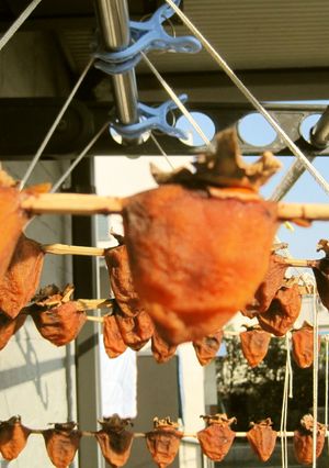 おじいちゃん秘伝♪干し柿の作り方♪-レシピのメイン写真