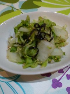 簡単 白菜の浅漬け-レシピのメイン写真