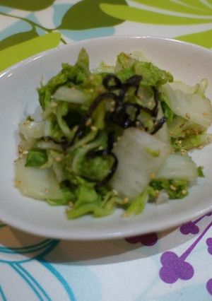 簡単 白菜の浅漬け-レシピのメイン写真