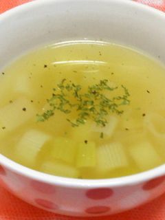 デトックスに!ネギのあったかスープ-レシピのメイン写真