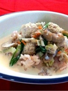 犬ごはん*ひき肉とチンゲン菜のクリーム煮-レシピのメイン写真