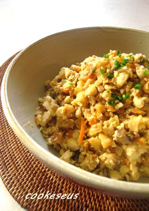 お野菜だけで炒り豆腐-レシピのメイン写真