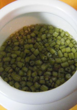 パセリの茎を活用！我が家のパセリ酢-レシピのメイン写真