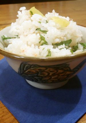 鮭チー大葉の混ぜご飯　おにぎりにも！-レシピのメイン写真