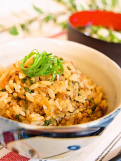 ネギたっぷり♬肉味噌混ぜご飯-レシピのメイン写真