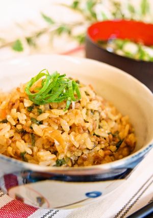 ネギたっぷり♬肉味噌混ぜご飯-レシピのメイン写真