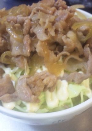 玉葱ﾀｯﾌﾟﾘ生姜焼き丼-レシピのメイン写真
