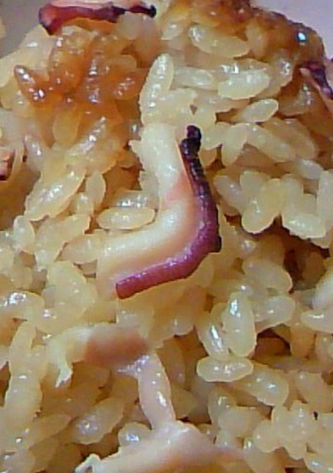 ポカポカ！たことしょうがの炊き込みご飯-レシピのメイン写真