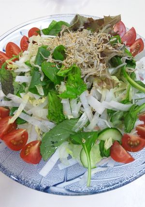 サラダ　カリカリしらすSalad！-レシピのメイン写真