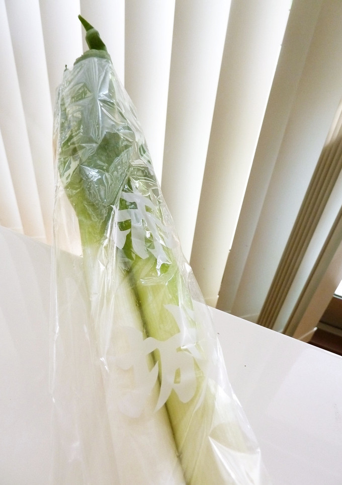 ネギの青いとこ捨てないで！-レシピのメイン写真