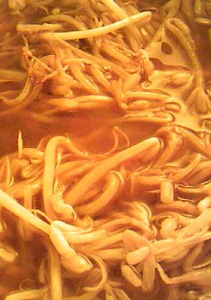 簡単：ダイエット：もやしの和風カレー煮-レシピのメイン写真