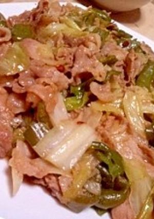 豚こま切れ肉とキャベツとピーマンの回鍋肉-レシピのメイン写真