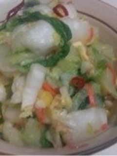 鍋で余った野菜で漬物-レシピのメイン写真