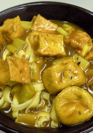 厚揚げと葱のカレーうどん-レシピのメイン写真