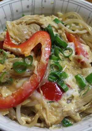 豆腐もやしエノキタケとパプリカの旨煮-レシピのメイン写真