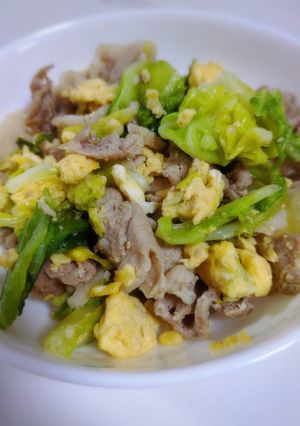 豚たま春キャベツ☆-レシピのメイン写真