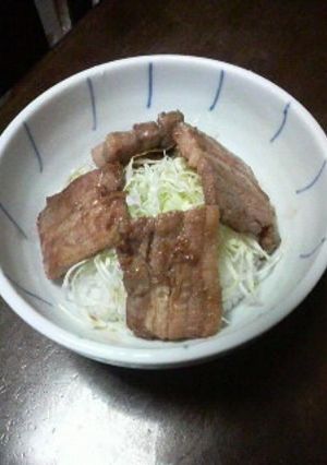 タレが決め手の豚丼-レシピのメイン写真