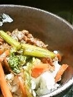 超簡単焼肉丼-レシピのメイン写真