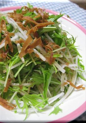 大根と水菜でお手軽サラダ-レシピのメイン写真