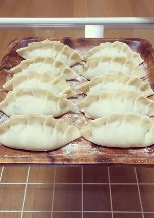 手作りシソ餃子-レシピのメイン写真