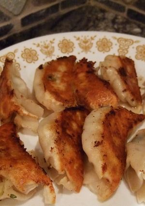 レタス　トマト　ツナ　などの餃子♪-レシピのメイン写真