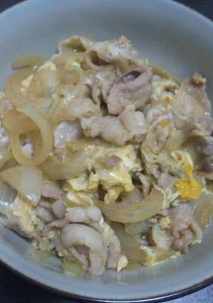 残り汁で豚丼-レシピのメイン写真