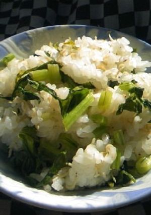 しらす入りかぶ菜めし-レシピのメイン写真