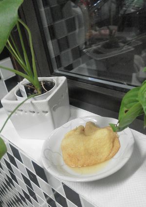 簡単！餃子の揚げ包み♪-レシピのメイン写真