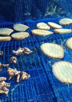 乾物生姜の生姜湯-レシピのメイン写真