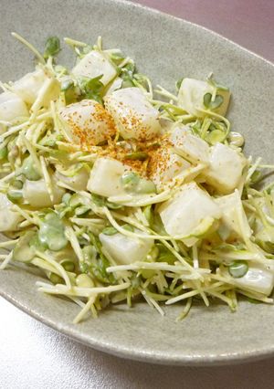 簡単!大根とカイワレの和え物-レシピのメイン写真