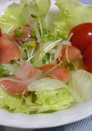 スモークサーモンのマリネ風サラダ-レシピのメイン写真