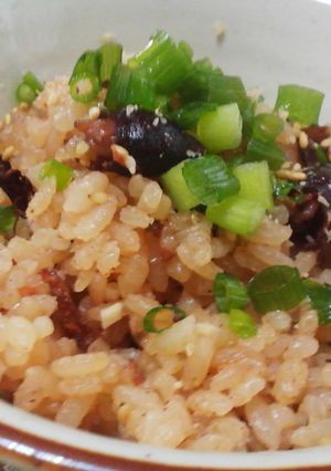 ホタルイカのやわらか煮の炊き込みご飯-レシピのメイン写真
