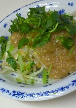 しゃきトロ★もやし&大根葉のみぞれ餡かけ-レシピのメイン写真