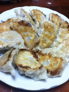 イカとキャベツの焼き餃子-レシピのメイン写真