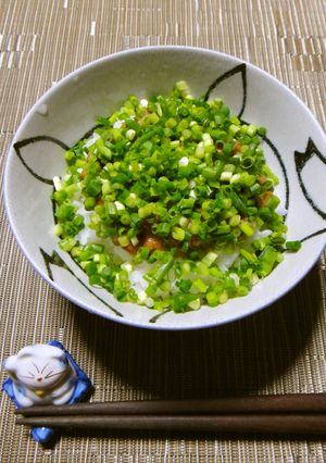シェフ直伝!納豆とたらこのまかない丼-レシピのメイン写真