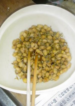 給食レシピPart２　～大豆とちりめんじゃこのゴマがらめ～-レシピのメイン写真