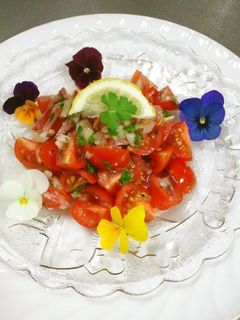 ミニトマトのマリネ-レシピのメイン写真