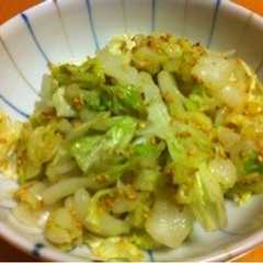 รูปของ 白菜の浅漬けナムル