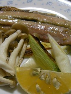 秋刀魚の一夜干し-レシピのメイン写真