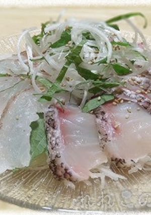 オニカサゴとイシナギの刺身サラダ-レシピのメイン写真