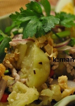 タイ料理☆ヤムマクア（焼き茄子のサラダ）-レシピのメイン写真
