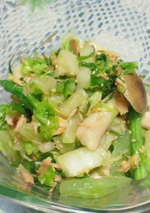 白菜とこんにゃくのしゃきしゃきサラダ-レシピのメイン写真