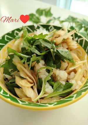 大葉みょうがご飯-レシピのメイン写真