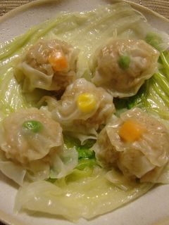 皮のせるだけ!!レンジでシュウマイ-レシピのメイン写真