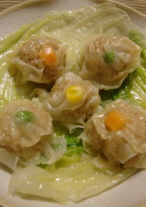 皮のせるだけ！！レンジでシュウマイ-レシピのメイン写真